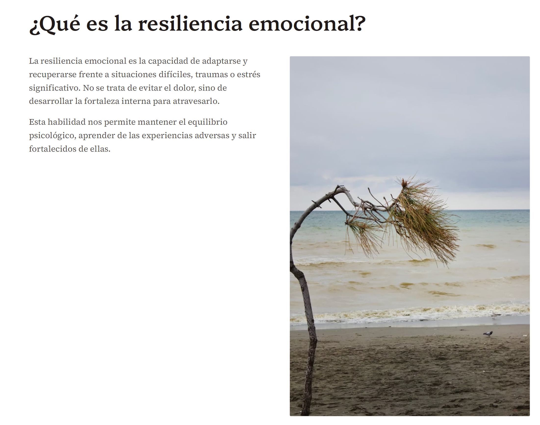 Manual de Resiliencia Emocional