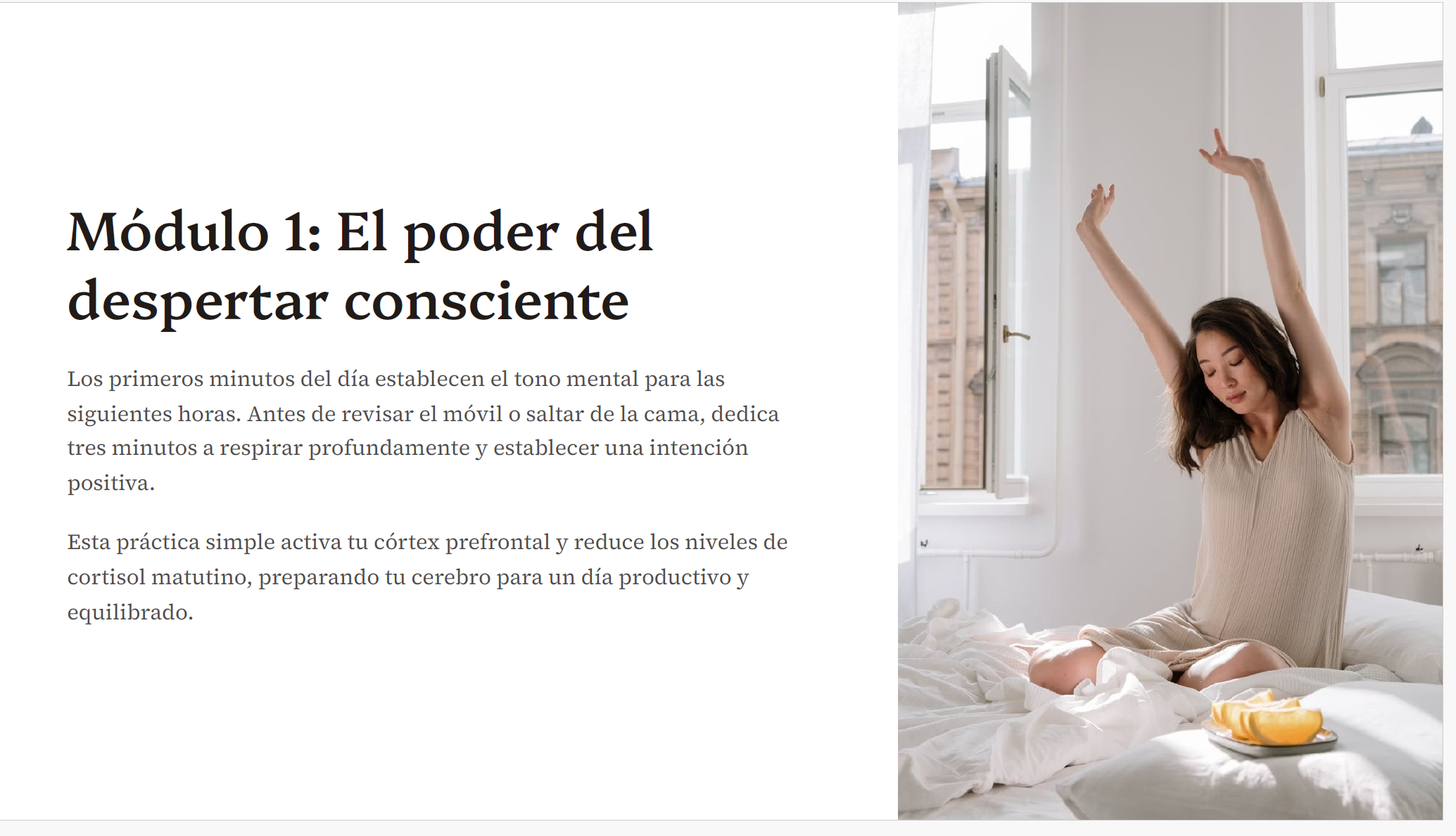 Manual de Higiene Mental: Rutinas Diarias para una Mente Sana